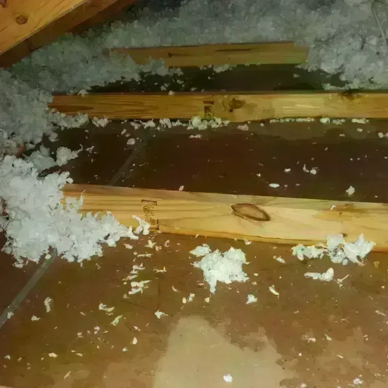 Attic Water Damage in New Hope, MN