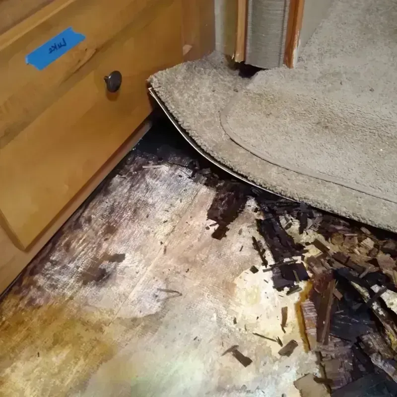 Wood Floor Water Damage in New Hope, MN